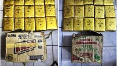 Photo of 警突击民宅捉1毒贩  起70公斤大麻砖