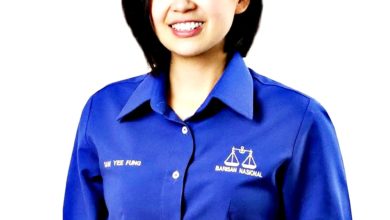 Photo of 6年1457人命丧车轮下 苏仪芳吁交部正视问题