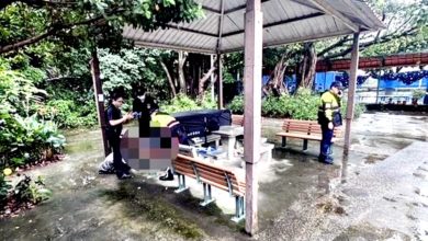Photo of 男子凉亭坐姿不变2天 工人查看惊揭已断气