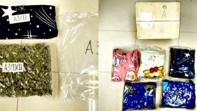 Photo of 大麻花藏枕头套 冰毒藏相框 毒贩企图快递出国遭识破