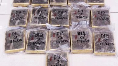 Photo of 邻国运入境 起22万元大麻砖捕2男