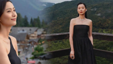 Photo of 陈法拉衝击奥斯卡 李安邀演《旧金山》