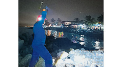 Photo of 待宰牛只逃至海里 民防部队出动搜寻