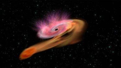 Photo of 科学家目击宇宙级猎食 正在吃星星