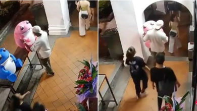 Photo of 店外青蛙顺手被抱走 老板报警男道歉归还