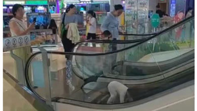 Photo of “这是拿命换流量吗?” 拍孩子玩手扶梯被网痛批:无脑