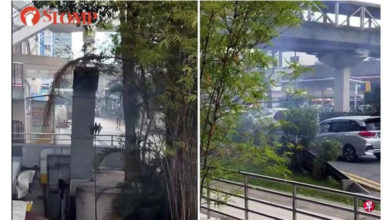 Photo of 商场外排烟管排浓烟 经过公众都捂鼻子”味道很臭”