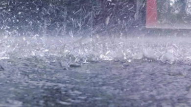 Photo of 台风“蝴蝶”逼近 海南多地停课停业停运