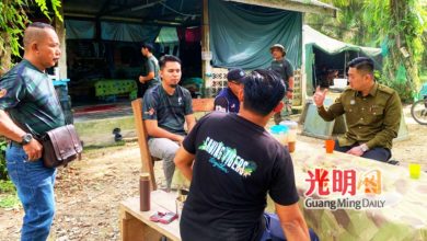Photo of 黄佳祯：以牛为饵 麻坑设2笼诱捕3虎