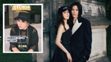 Photo of 自曝在台北给郭碧婷买地 向太：希望天下家婆都爱媳妇