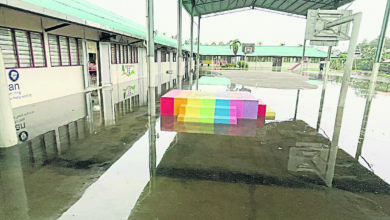 Photo of 多区逢雨必灾 民政抨雪空喊治水