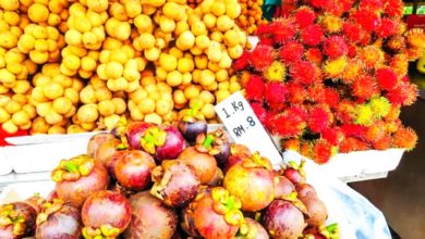 Photo of 财政部：不包括国产 进口水果征5%销售税