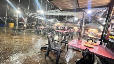 Photo of 暴雨狂风袭吉打 11地点大树倒