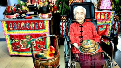 Photo of 105岁人瑞林赛凤辞世 家人安排歌唱布袋戏办喜丧
