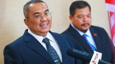 Photo of 吉南疑现虎踪 当局诱捕失败 大臣促换策略应对