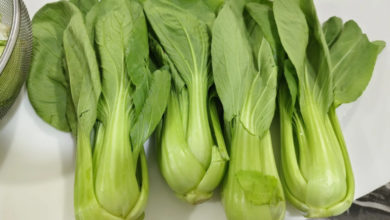 Photo of “几把菜就要RM8.50？” 女子不满遭巴刹“砍菜头”！