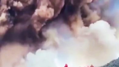 Photo of 【视频】火山喷发游客玩命狂拍 意大利导游悚忆“它一瞬间就来”