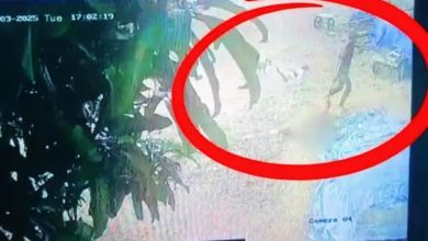 Photo of 八旬妇遭19岁少年性侵 拖行50公尺惨死