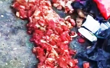 Photo of 【视频】揭20公斤生牛肉被丢弃 网民：看到都心痛！