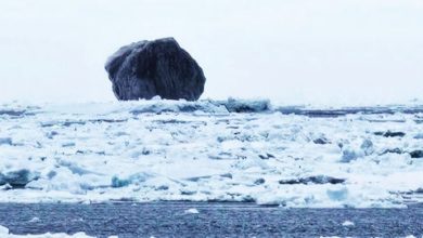 Photo of 加拿大“史前黑冰山”现身 专家：冰龄或10万年
