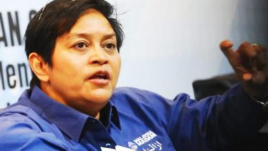 Photo of 阿莎丽娜：网安法将生效 网络平台承担照护责任