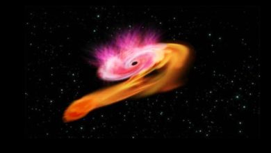 Photo of 宇宙大惊奇！科学家直击“流浪黑洞”正在吃星星