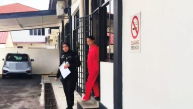 Photo of 【涉收旅费后失踪案】罗秀花仍背23欺骗案 排期面控中