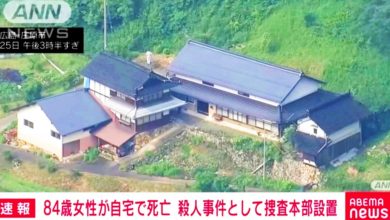 Photo of 84岁独居老妇遭击破头身亡 警成立50人小组缉凶