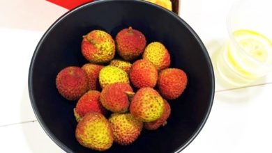 Photo of 头晕不适流鼻血 女子吃10斤荔枝患“荔枝病” 医：一天最多20颗