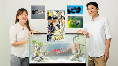 Photo of 刘佩琪从一只水晶虾开始 打造大马最大水族体验馆