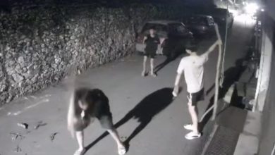 Photo of 4少年深夜扰民 敲墙打路丢树枝
