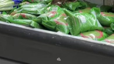 Photo of 鲜菜太吸引？ 肥鼠逛超市