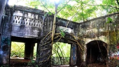 Photo of 狮城与柔摄政王交换土地 专家：利维护植物园生物多样性