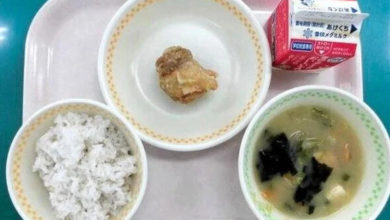 Photo of 物价飞涨！日营养午餐主菜“唐扬鸡”仅一块　网批：太寒酸