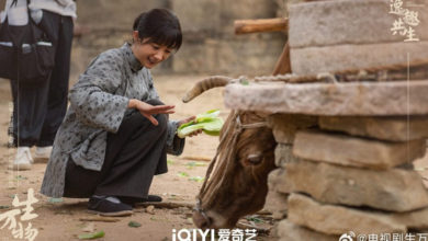 Photo of 新片暑假黄金档播出 杨幂迪丽热巴仓底翻身