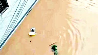 Photo of 考试遇上暴雨路塌桥损 考生竟带泳圈游泳赶考