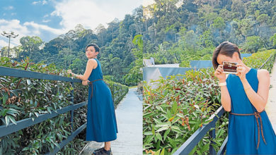 Photo of 张俊虹宣怀孕喜讯 变小腹婆年底交付