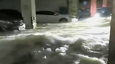 Photo of 全省逾270镇街遭暴雨 粤多地淹水停课