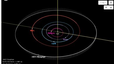 Photo of “王菲星”获命名！我追的星真的成了天上的星