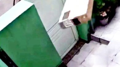 Photo of 快递员高举包裹投掷入屋 网轰：那是电视机！