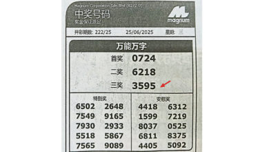 Photo of 车撞神料店派财茶客 车牌全打开三奖