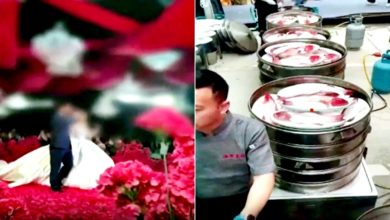 Photo of 商人豪摆252桌 点东星斑帝王蟹 事后嫌贵拒付钱