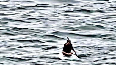 Photo of 蝴蝶台风来袭 10岁男童漂流5小时获救