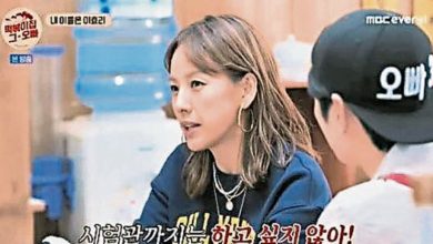 Photo of 李孝利渴望当妈 试管婴儿话题掀争议