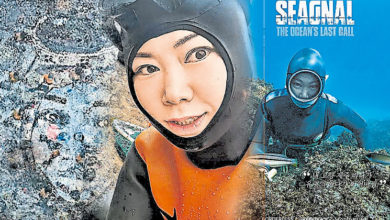 Photo of 李俞静传承海女文化 舍文职潜入大海