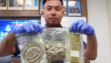 Photo of 警方震惊毒枭营销手段 大麻也有LABUBU