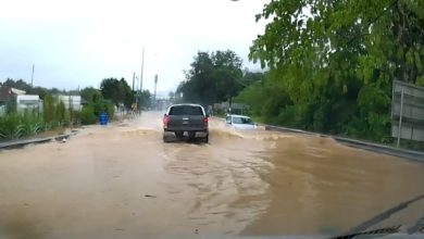 Photo of 槟岛下暴雨 这地方道路变河流