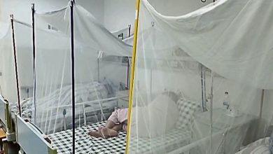 Photo of 佛山基孔肯雅热增至逾3000宗 中国疾控局称形势严峻