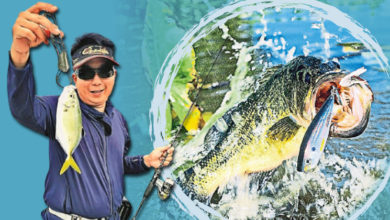 Photo of 假餌挑釁誘魚上鉤 拉竿收絲大耗體力