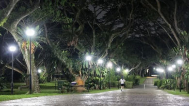Photo of 公众申诉公园走道长青苔 致骑车滑倒